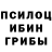 Галлюциногенные грибы Cubensis sparagwen