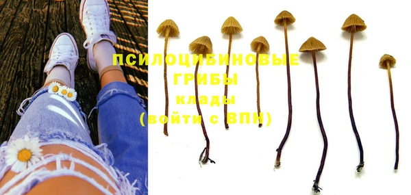 экстази Козловка