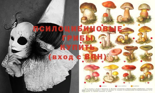 экстази Козловка