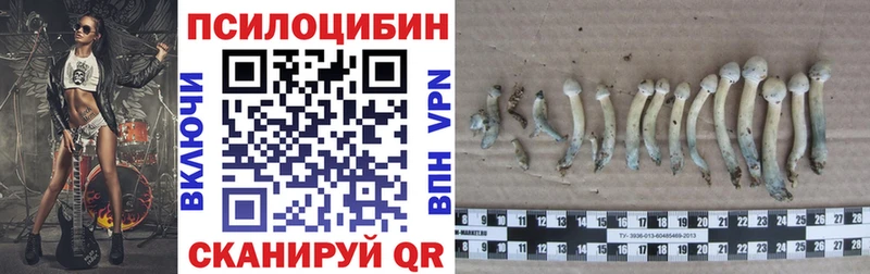 Галлюциногенные грибы мухоморы Гулькевичи