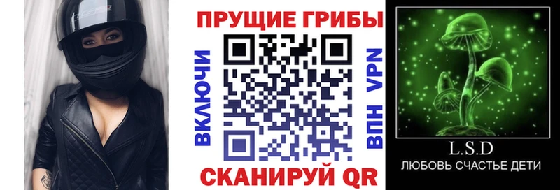 Купить где  Гулькевичи  Псилоцибиновые грибы ЛСД 